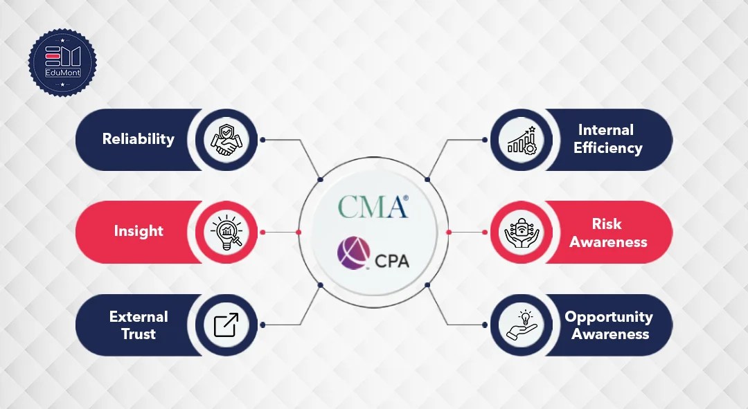 CPAs and CMAs A Powerful Business Combination for Success(05)