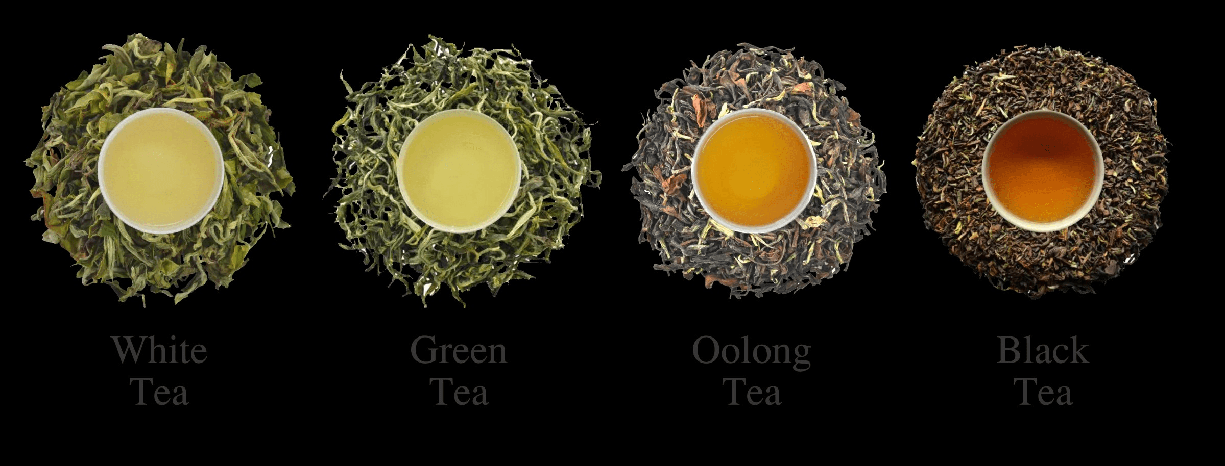 TEA CONNOISSEUR EDUINDEX NEWS