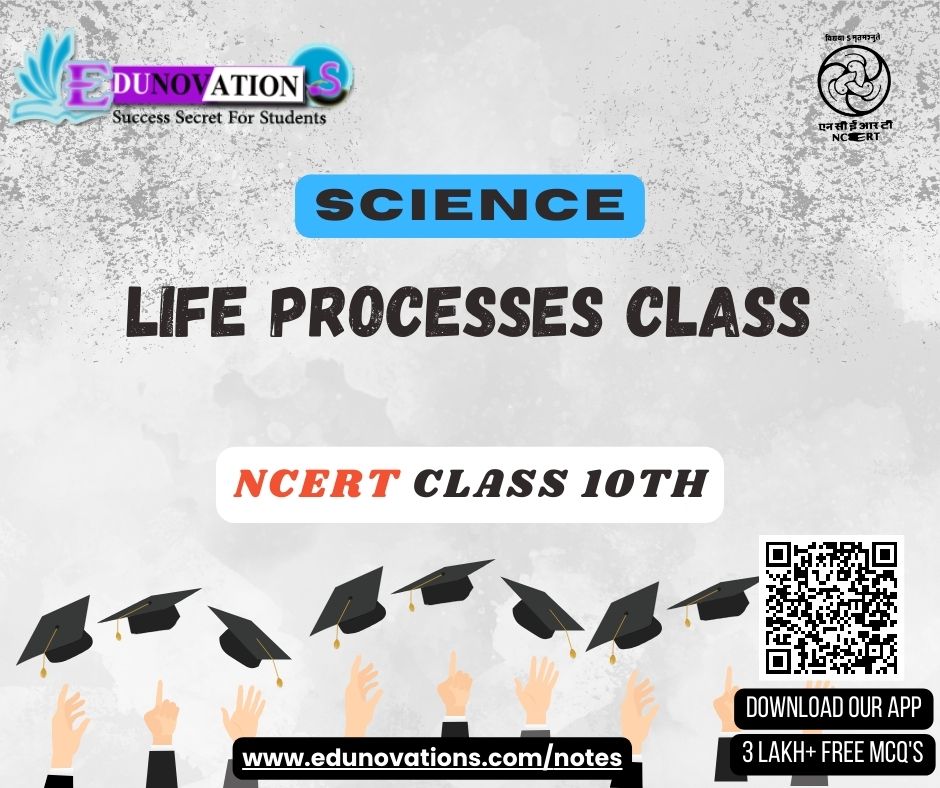 NCERT Class 10 Science MCQ Life Processes Class MCQs Multiple