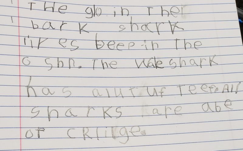 Slow in Writing? Your Child Might Have Dysgraphia EduReviews Blog