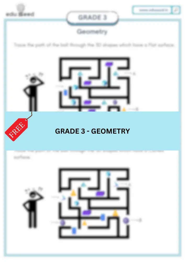 Free Math Worksheet for Grade 3 - Geometry Flat and Curved Surface