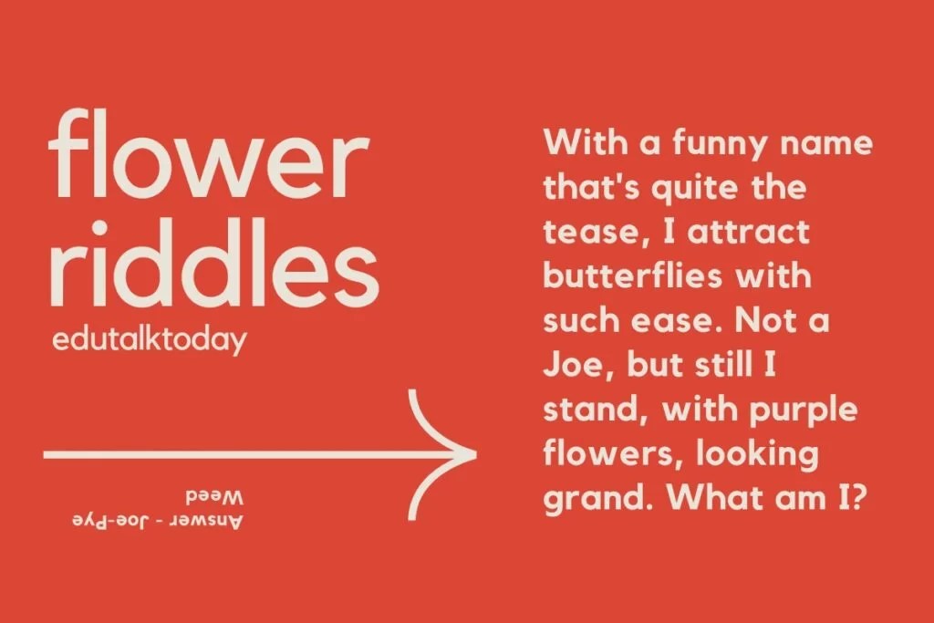 60 Flower Riddles with Answers EduTalkToday