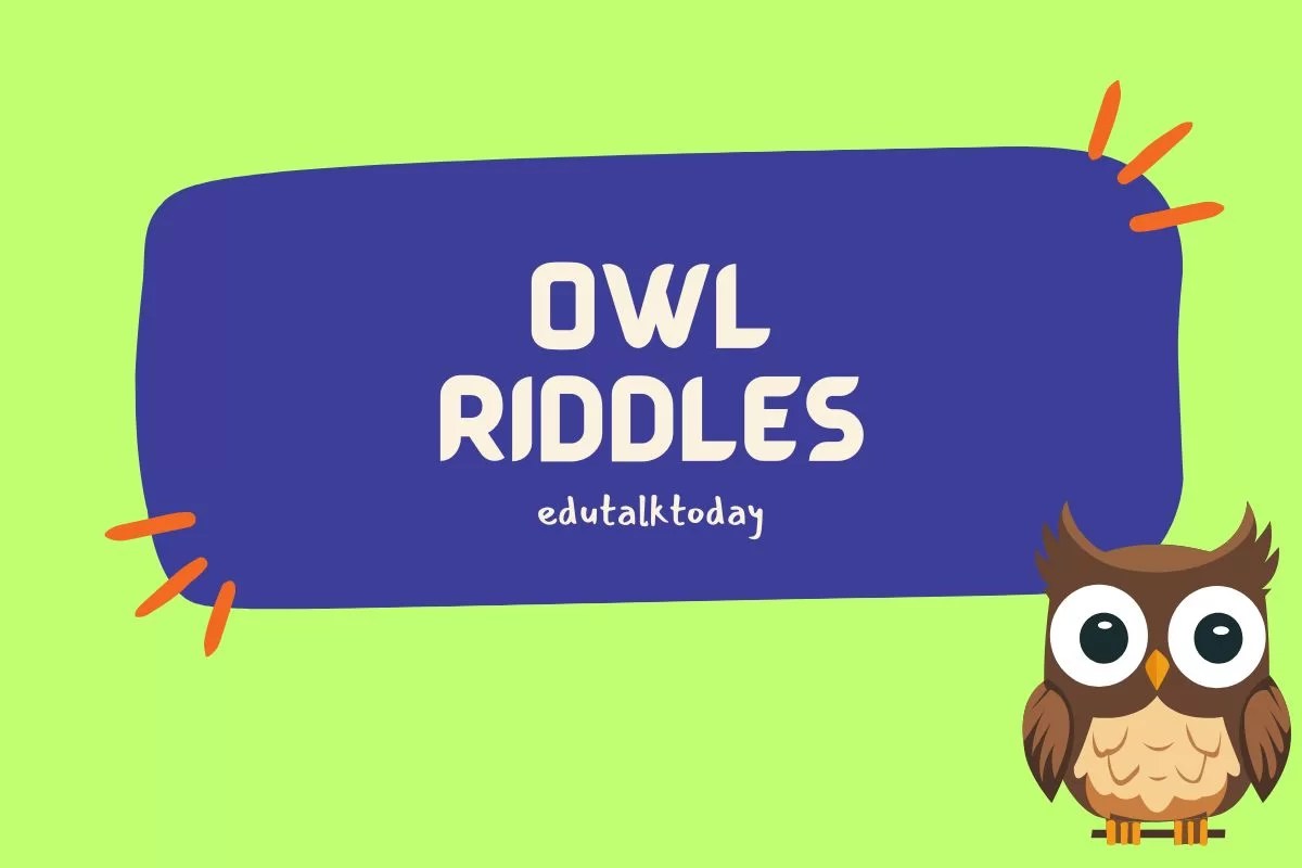 45 Owl Riddles EduTalkToday