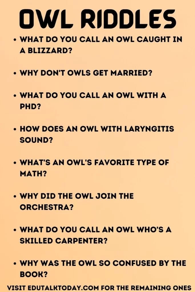 45 Owl Riddles EduTalkToday
