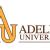 Adelphi-university