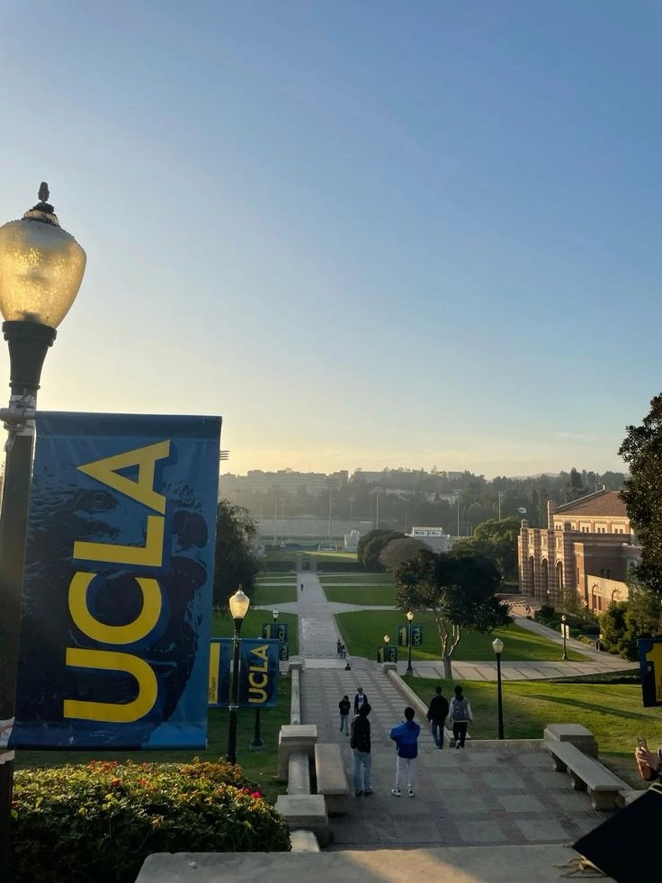 UCLA Acceptance Rate How to Boost Your 2025 Admission Odds Study