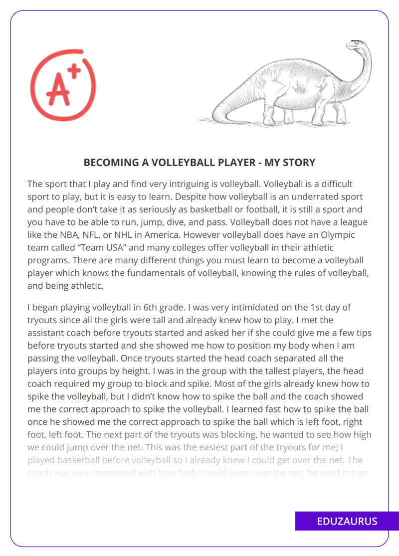 a Volleyball Player My Story Free Essay Example EduZaurus