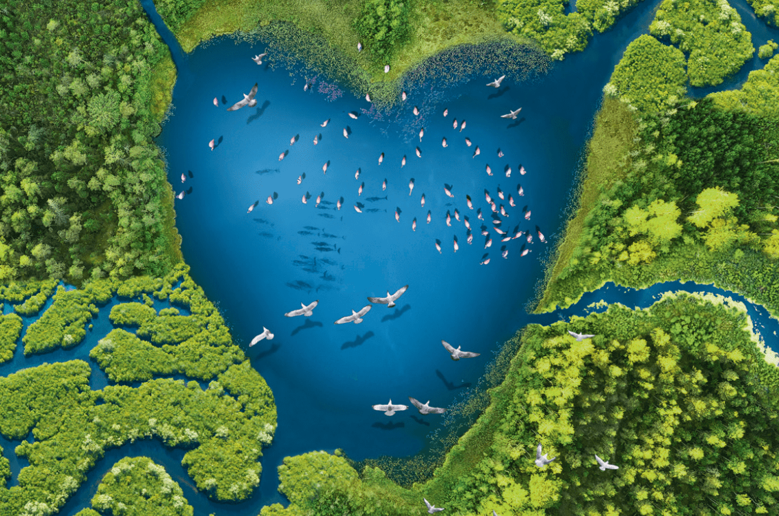 Ramsar Wetland Sites of India (80 Sites Latest Updated 2024) Edvance UPSC