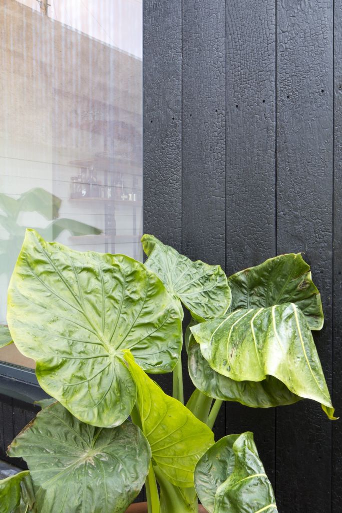 Hassett Road Edward Mccann Architects