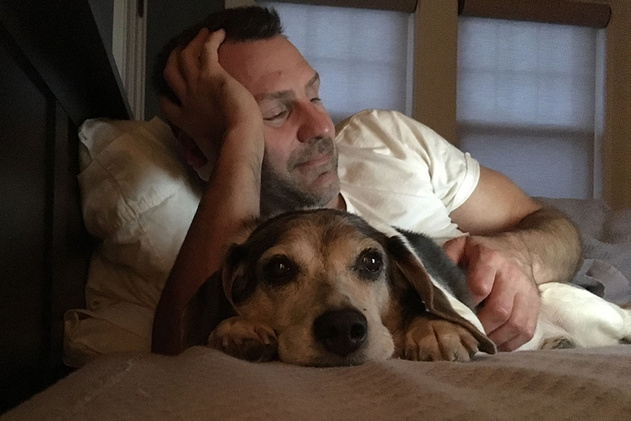 In memoriam of my beautiful Laney