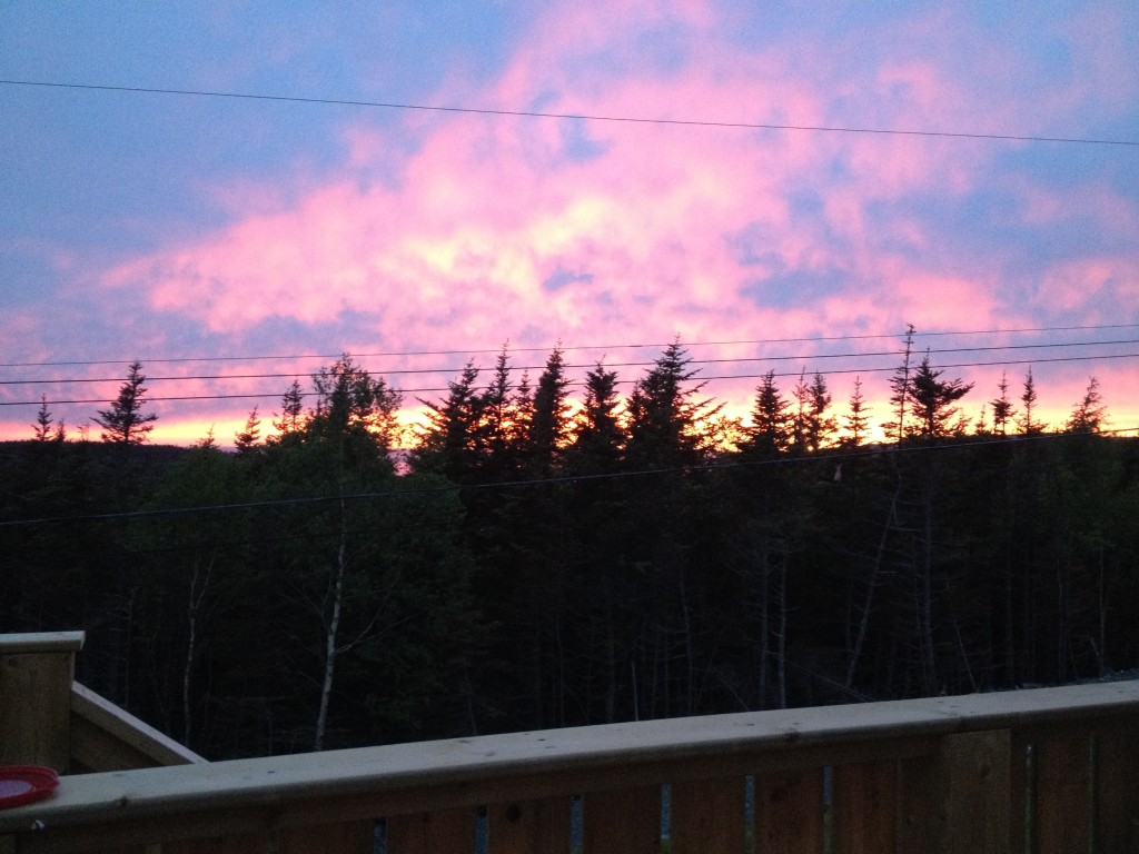 56 Sgt Donald Lucas Dr, Paradise Edwards Developing Inc