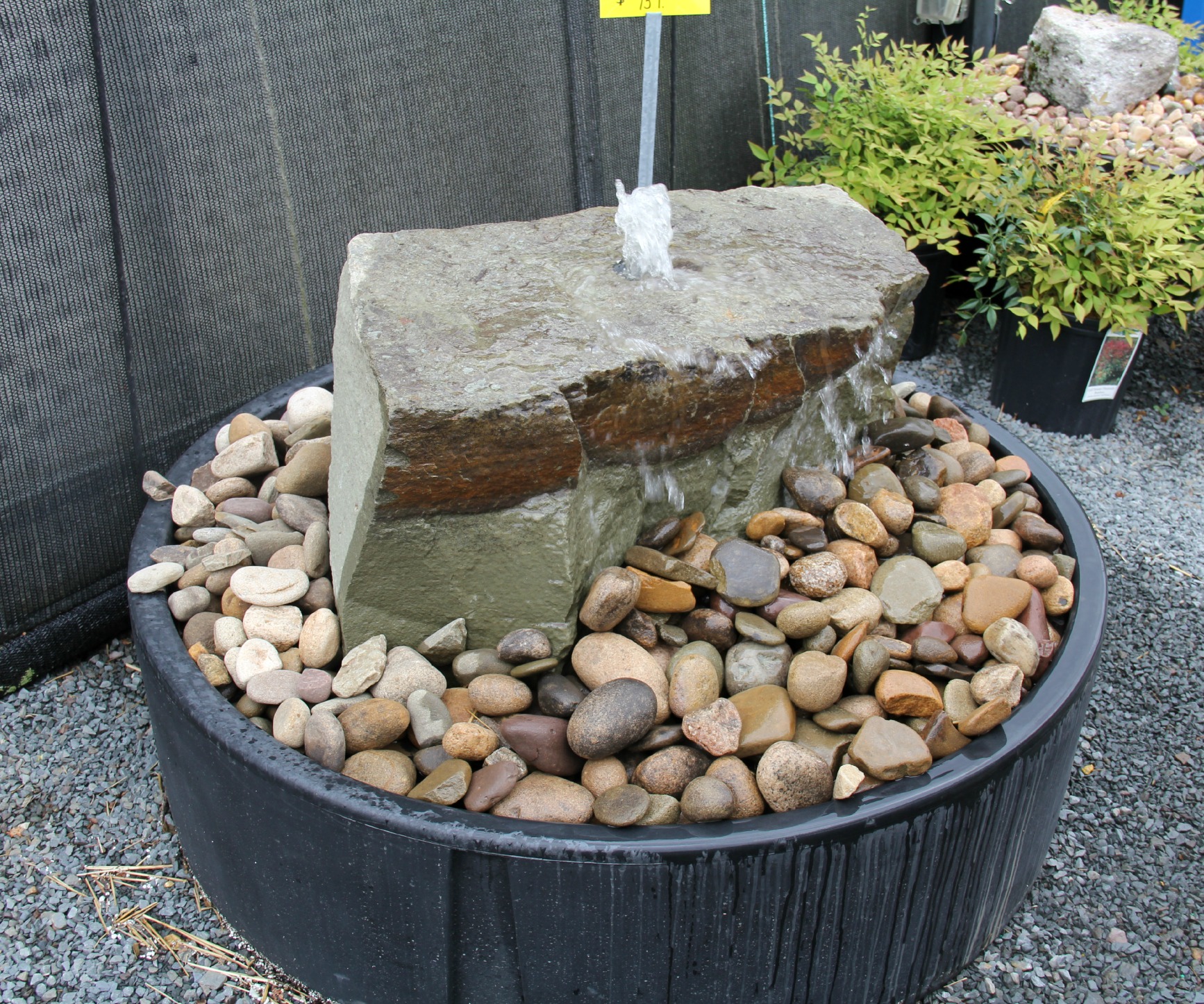 Pond & Water Gardening Edwards Garden Center