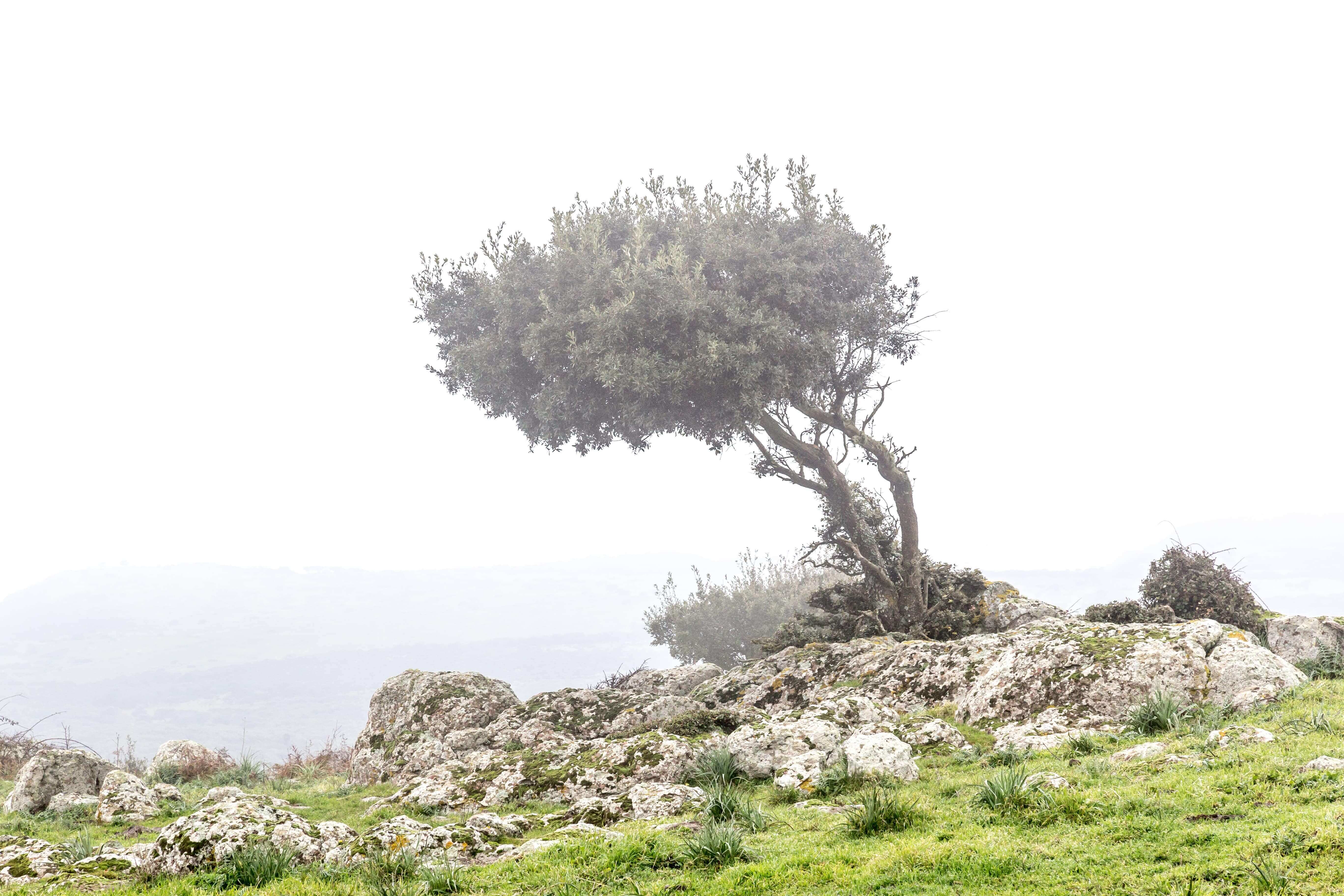 Is Sardinia Safe? 4 Very Interesting Facts That Prove It Is!