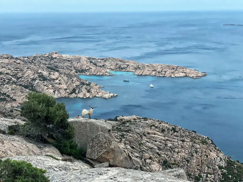 Renting A Car In Sardinia 21 Best Expert Tips