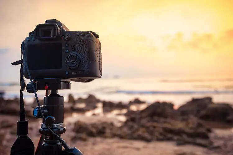 10 Best Online Photography Courses In 2023 EdWize