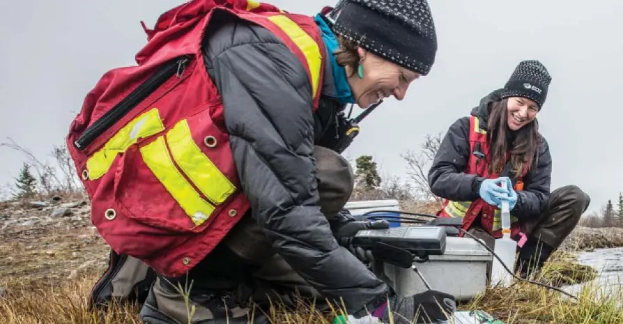 About Us | Experts in Environmental Solutions | EDI