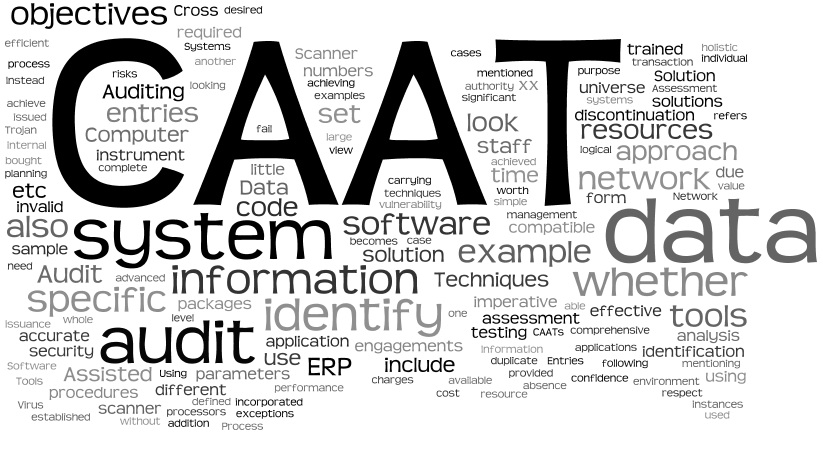 Computer Assisted Audit Techniques ( CAATs) E Blog