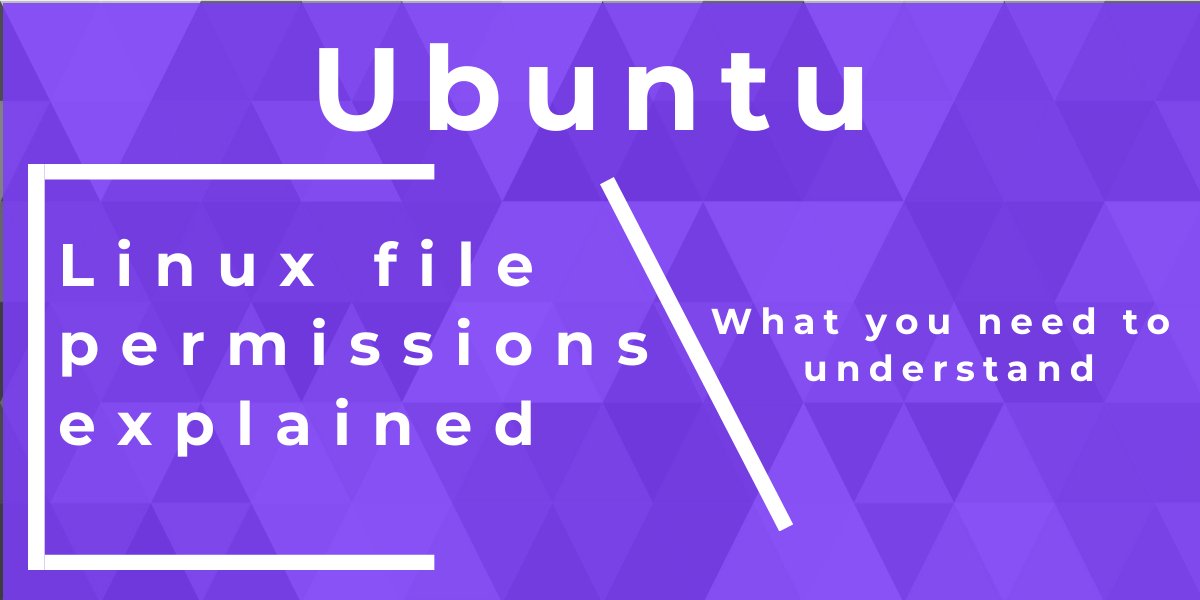 Linux file permissions 101 The Ultimate Guide for Beginners