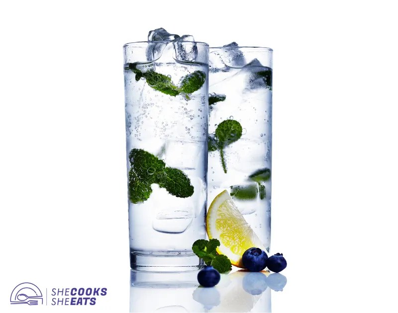 How Many Syns In Fever Tree Elder Flower Tonic? Find Out Here!