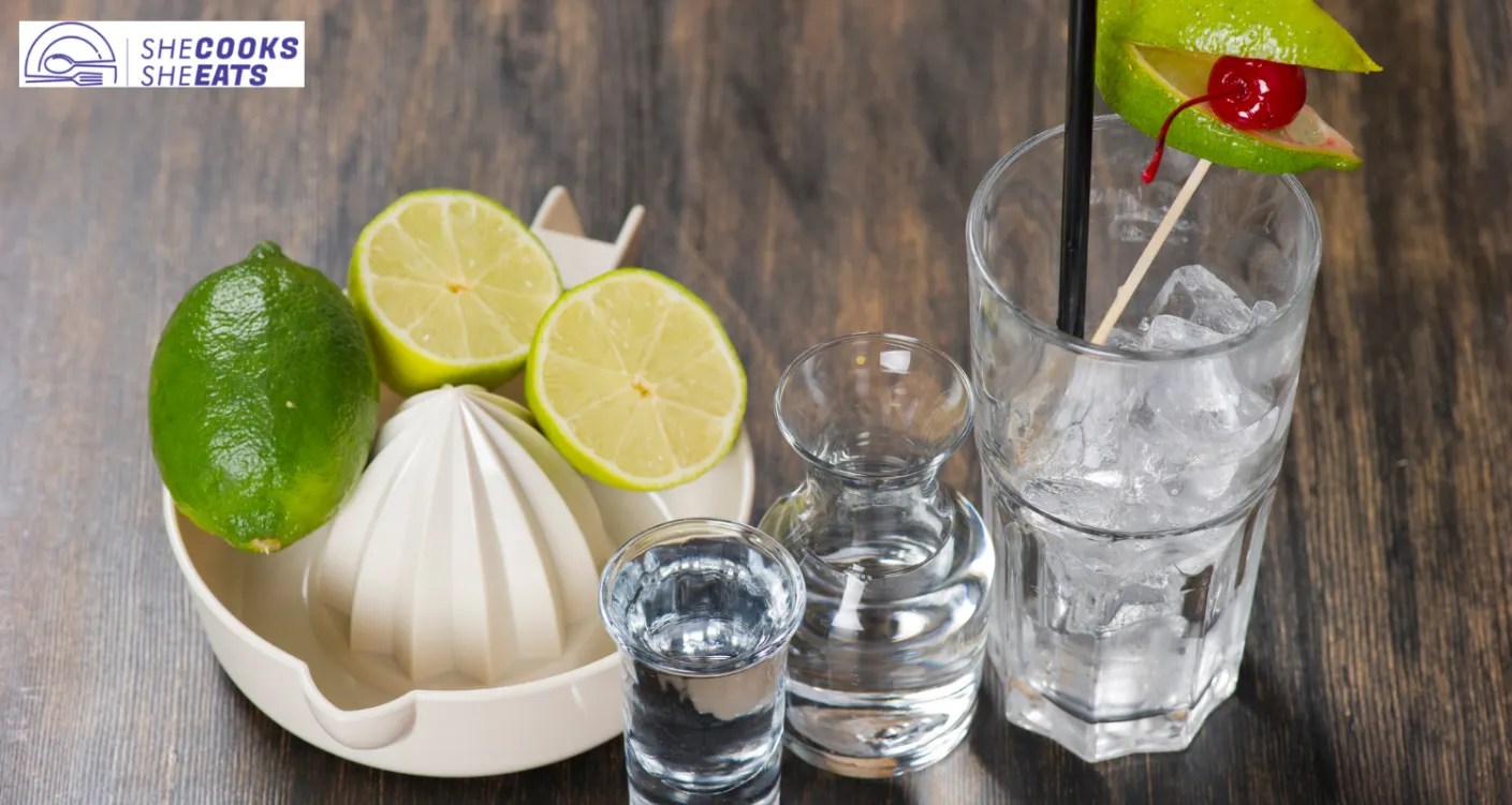 How Many Syns In Vodka Lime & Soda? Find Out Here!