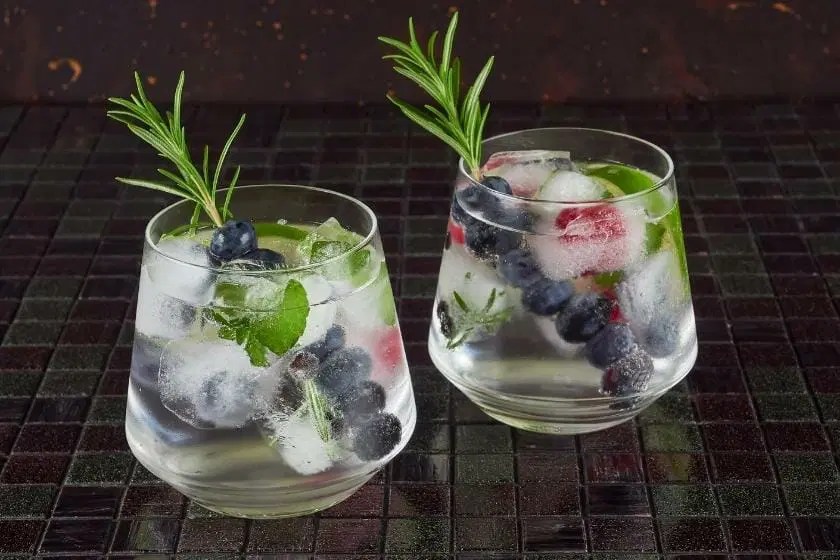 How Many Syns In A Gin &amp; Slimline Tonic? Find Out Here!