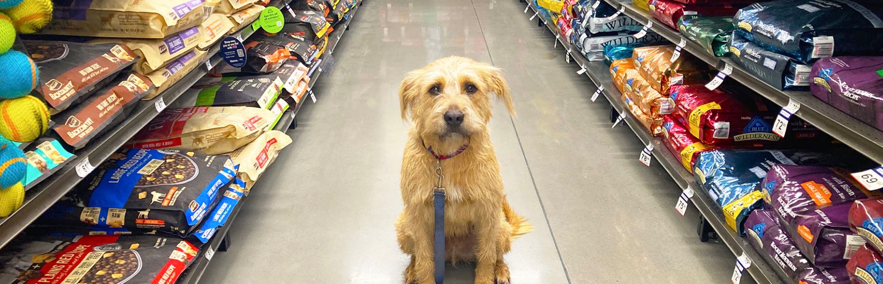 PET FOOD & SUPPLIES FRANCHISE RESALE Elite Equity Business Brokers