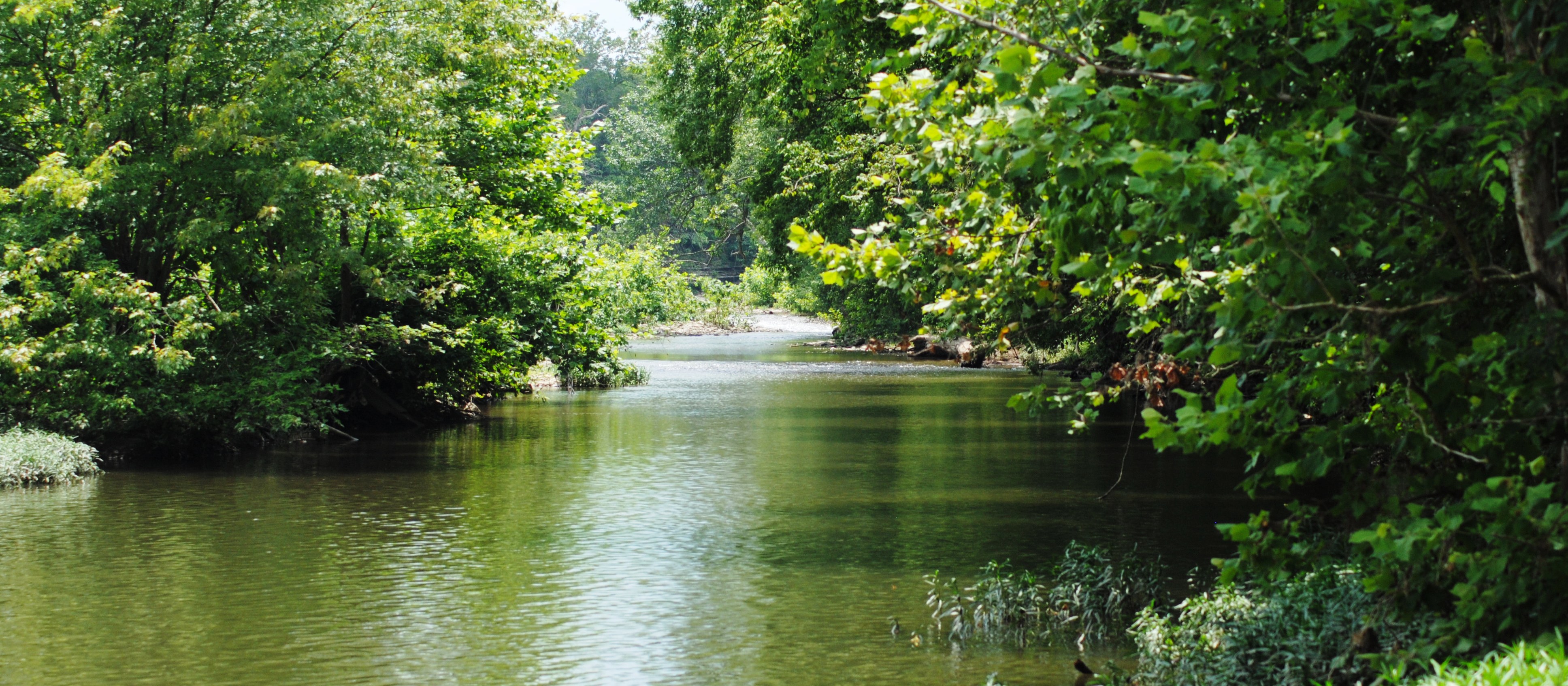 Meet the Division of Water Kentucky Energy and Environment
