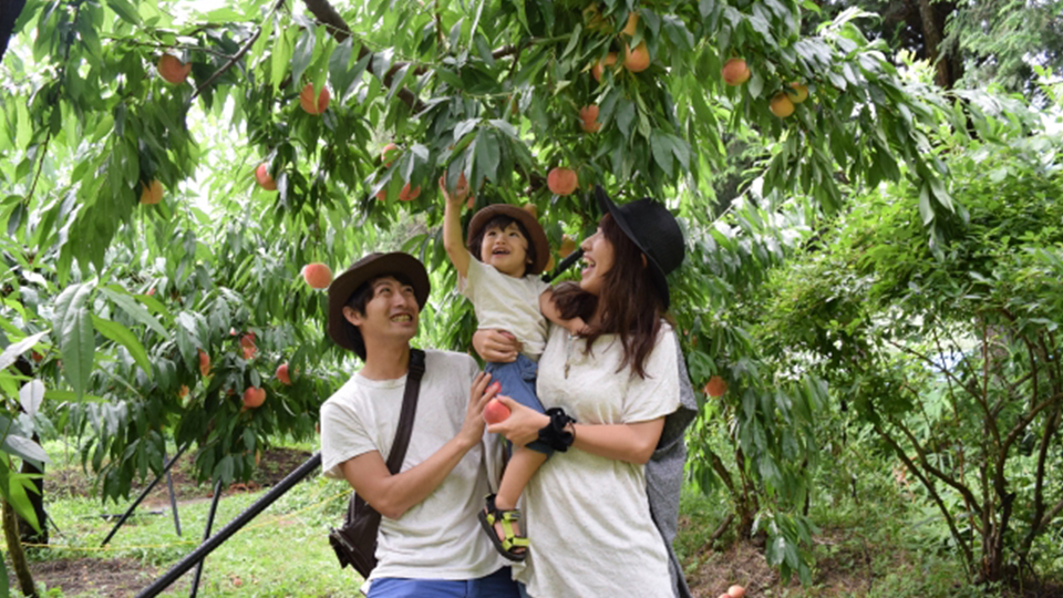 秋のオススメレジャースポット2018！はままつフルーツパーク時之栖｜イープラン（eeePLAN） 東海エリアのイベント情報サイト