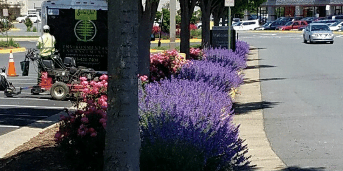 Prince William County Commercial Landscapers Environmental Enhancements