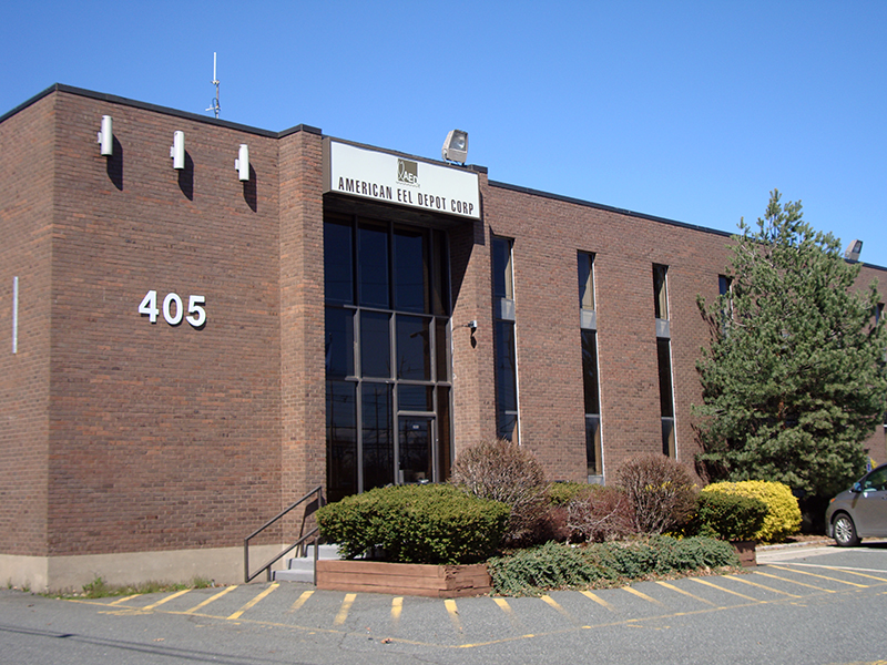 Roasted eel wholesale distributor USA, Japan & Canada