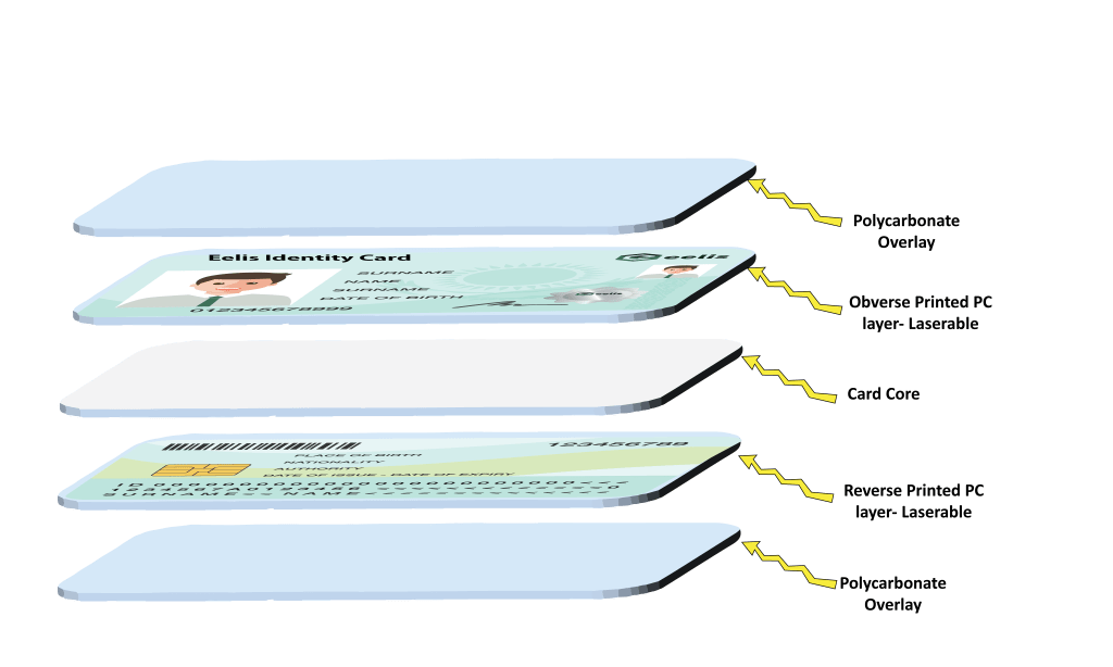 PVC vs. Polycarbonate Card Structure Choosing the Right Material for