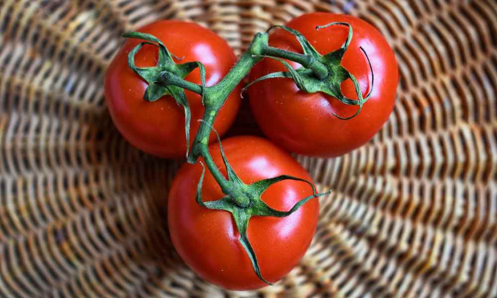 The 6 Most CostEffective Vegetables To Grow