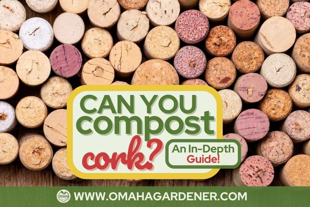Can You Compost Cork? An InDepth Guide!