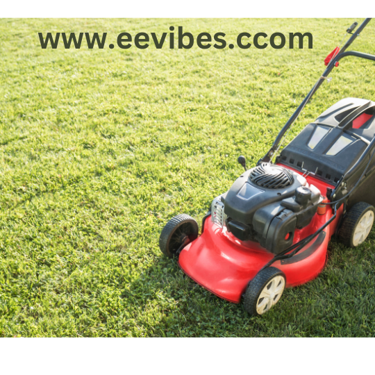 Find Best Cheapest Lawn Mowers for 2022 EEVibes