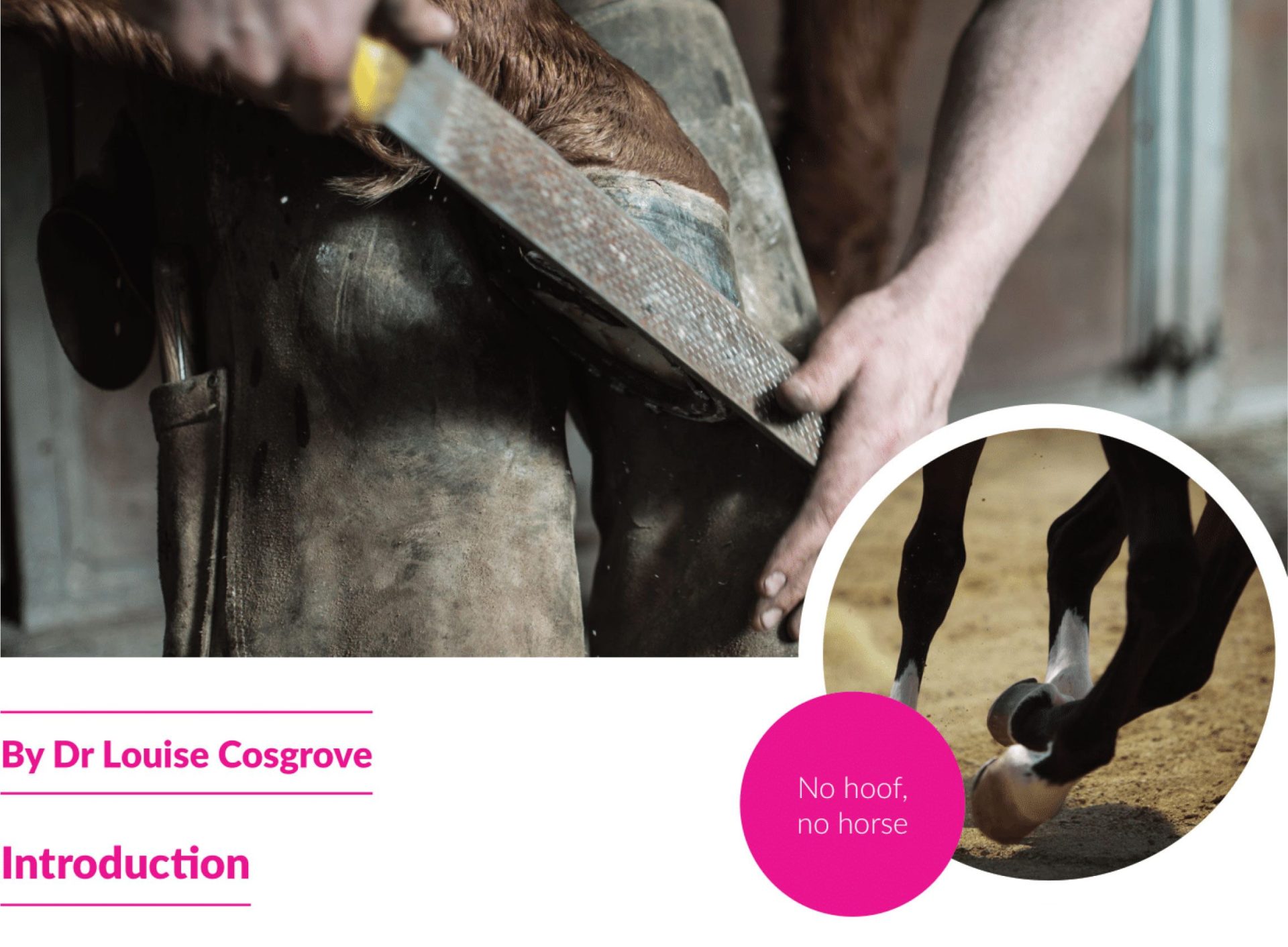 horse farrier near me Kena Schmitt