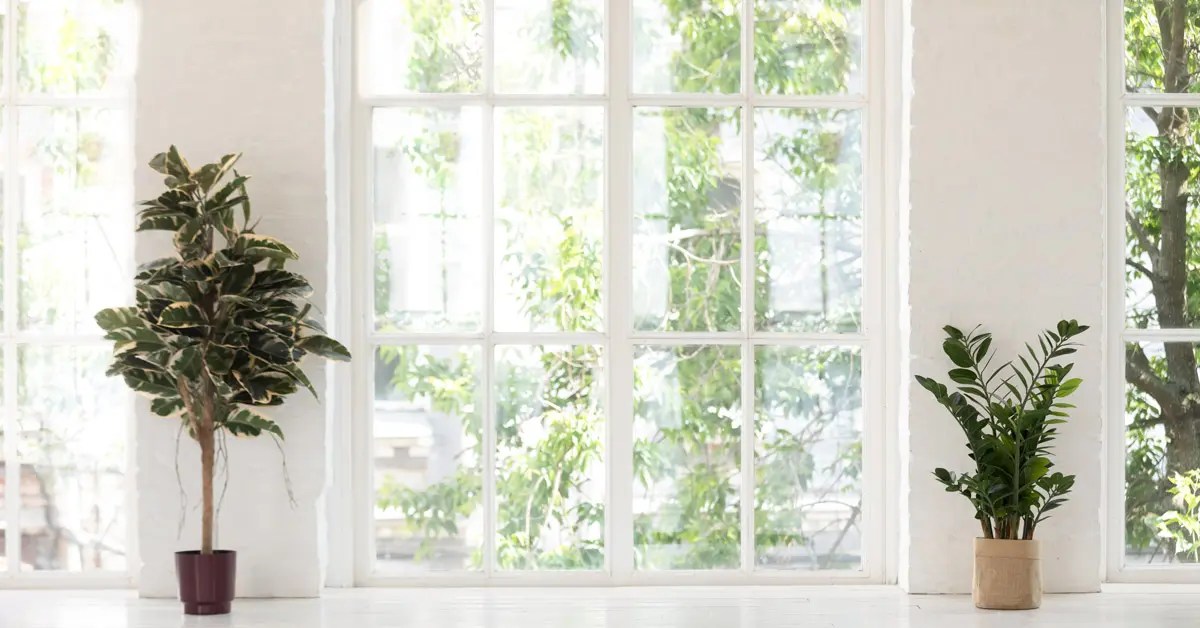 Window Placement in Interior Design EE Windows