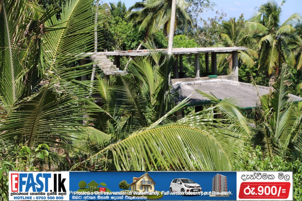 HOUSE SALE MATARA Property Houses 15 min to Matara town 5 min