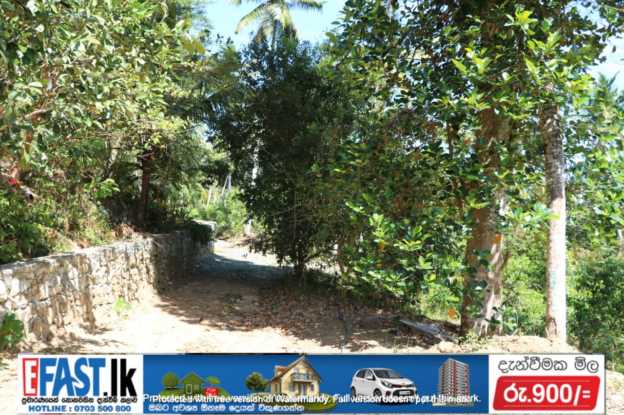 HOUSE SALE MATARA Property Houses 15 min to Matara town 5 min