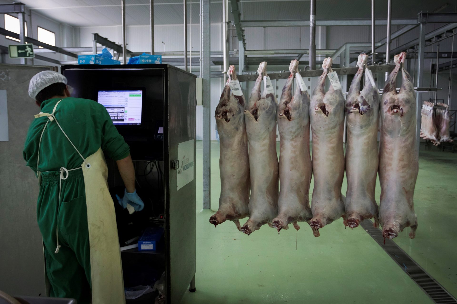 ¿Está asegurado el sacrificio por el rito halal y kosher en España?