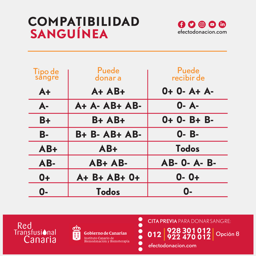 ¿Qué es la sangre?