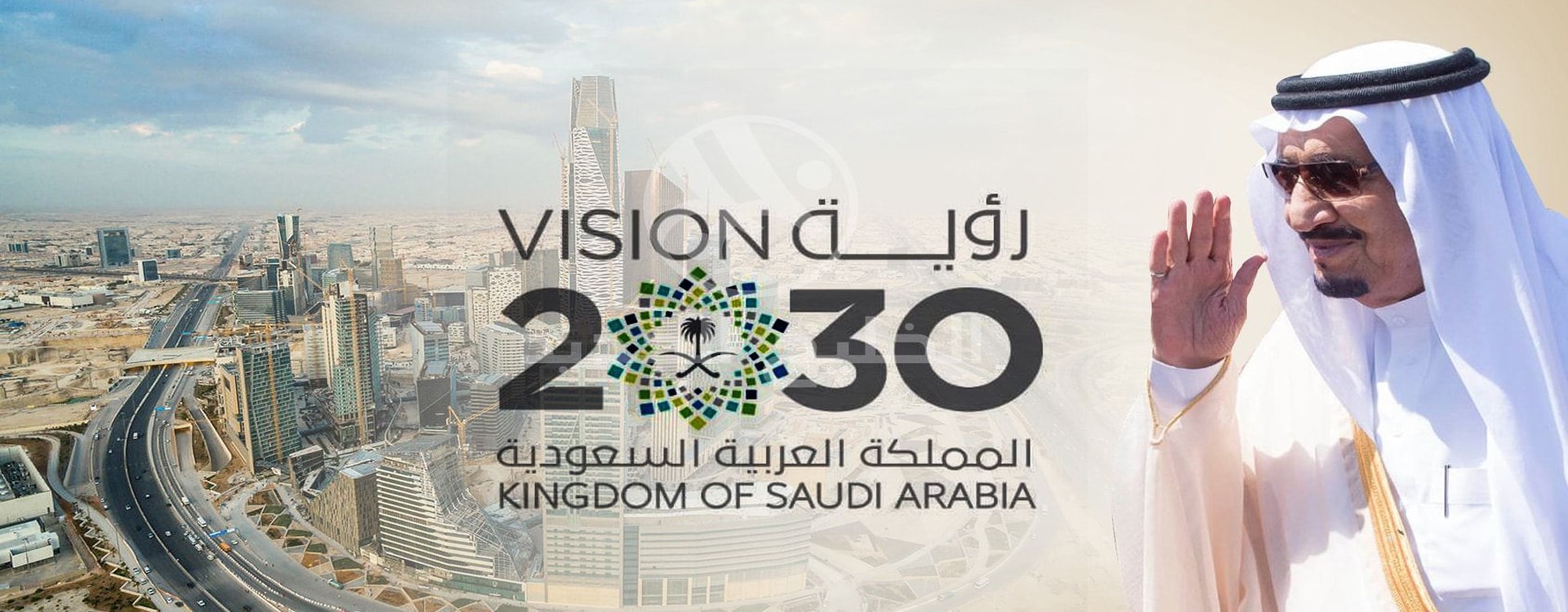 Vision 2030 Realisation Effect Advisory International