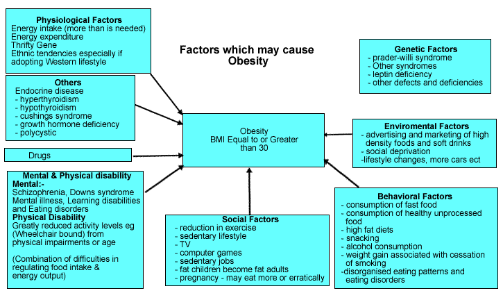 Causes Effects of Obesity