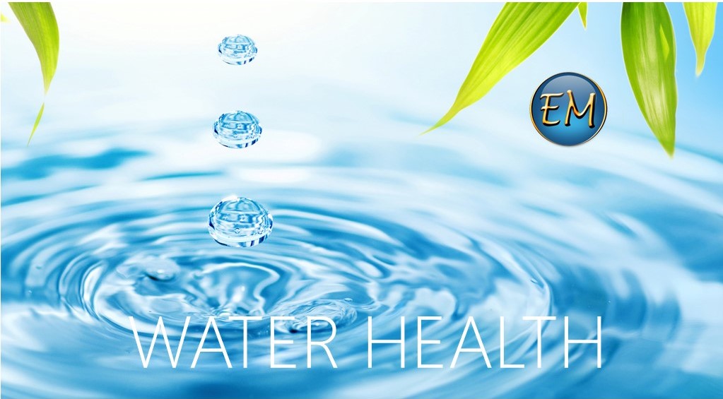 Greywater The Solution and importance for water problems