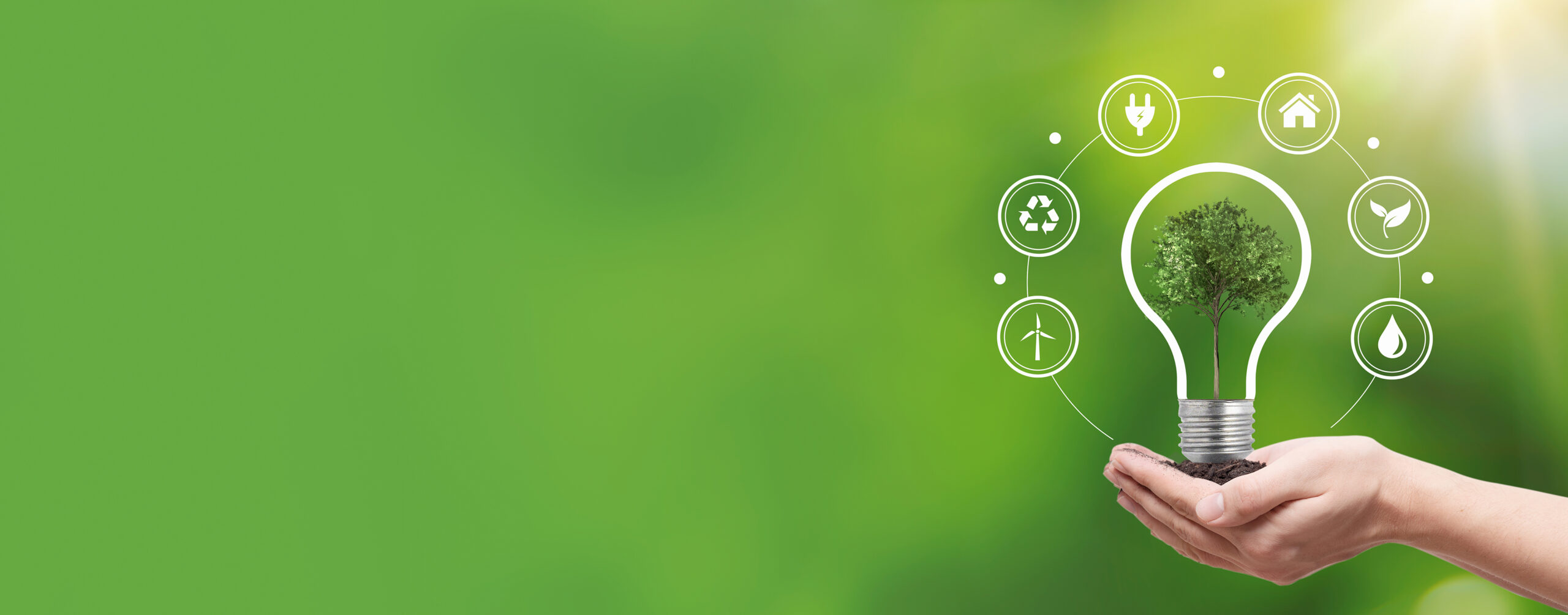 Happy National Energy Efficiency Day! Efficient Windows Collaborative