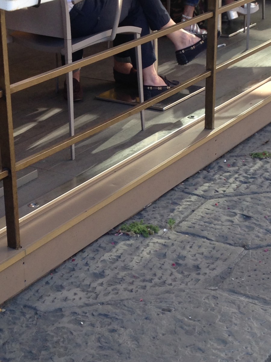 No Socks-18