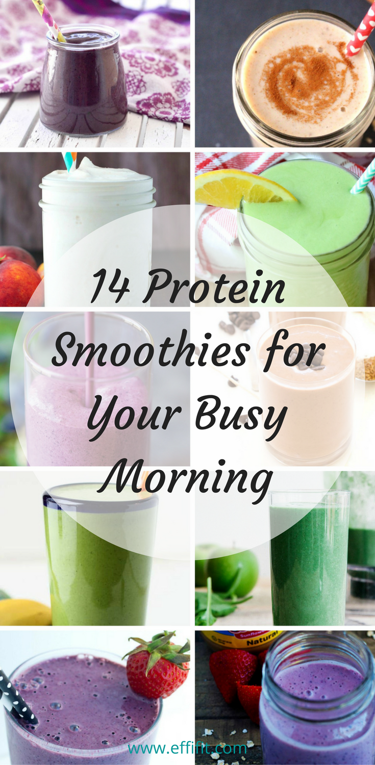 14 Protein Smoothie Recipes for Your Busy Morning EffiFit