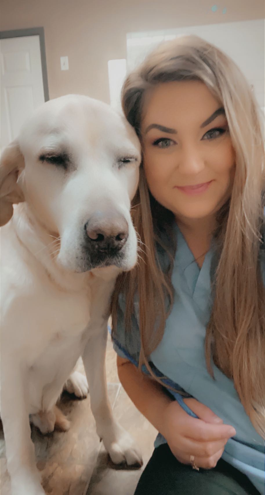 Grooming Services by Effingham Animal Hospital