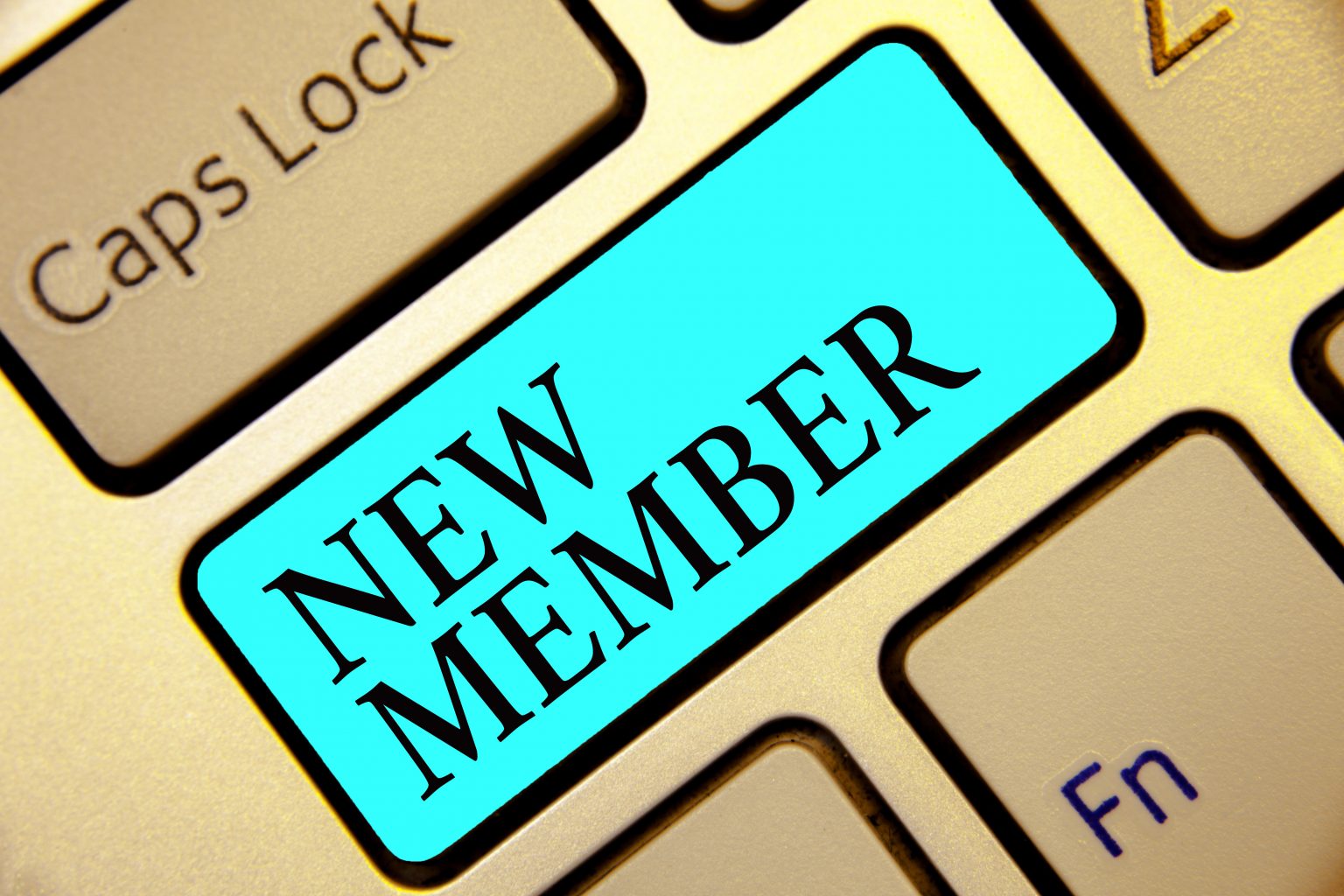 Effingham County Chamber Engaging Business & Community