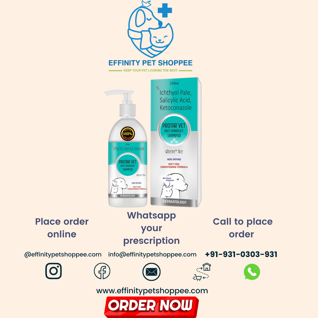 PROTAR VET SHAMPOO 250ML on Effinity Pet Shoppe