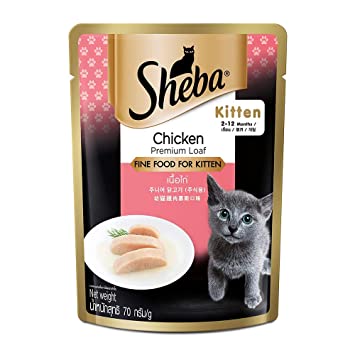 SHEBA CHICKEN PREMIUM LOAF KITTEN 70GM on Effinity Pet Shoppe